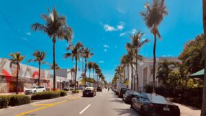 a street lined with palm trees and parked cars