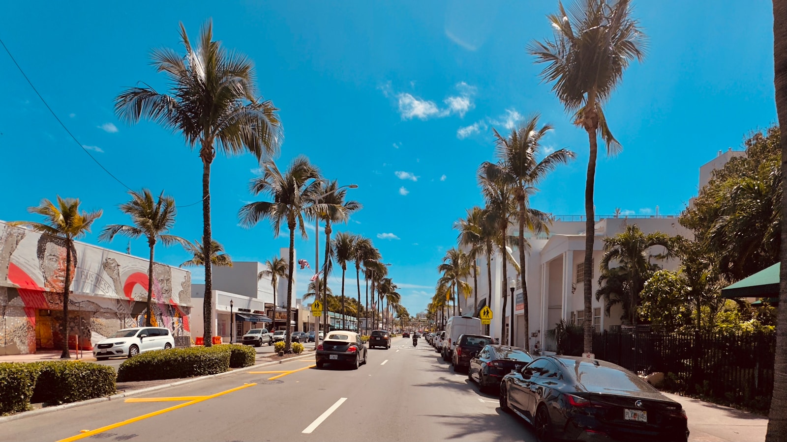 a street lined with palm trees and parked cars